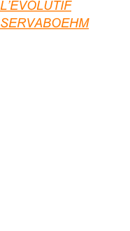 L’EVOLUTIF
SERVABOEHM

SERVABOEHM travaille continuellement au développement technique  et technologique de la SERVAPLAN et veille à ce que toute évolution améliorant les capacités, la maniabilité ou la polyvalence de la machine puisse être compatible avec la totalité du parc machines, vous assurant ainsi une rentabilité et une valorisation dans le temps de votre investissement...